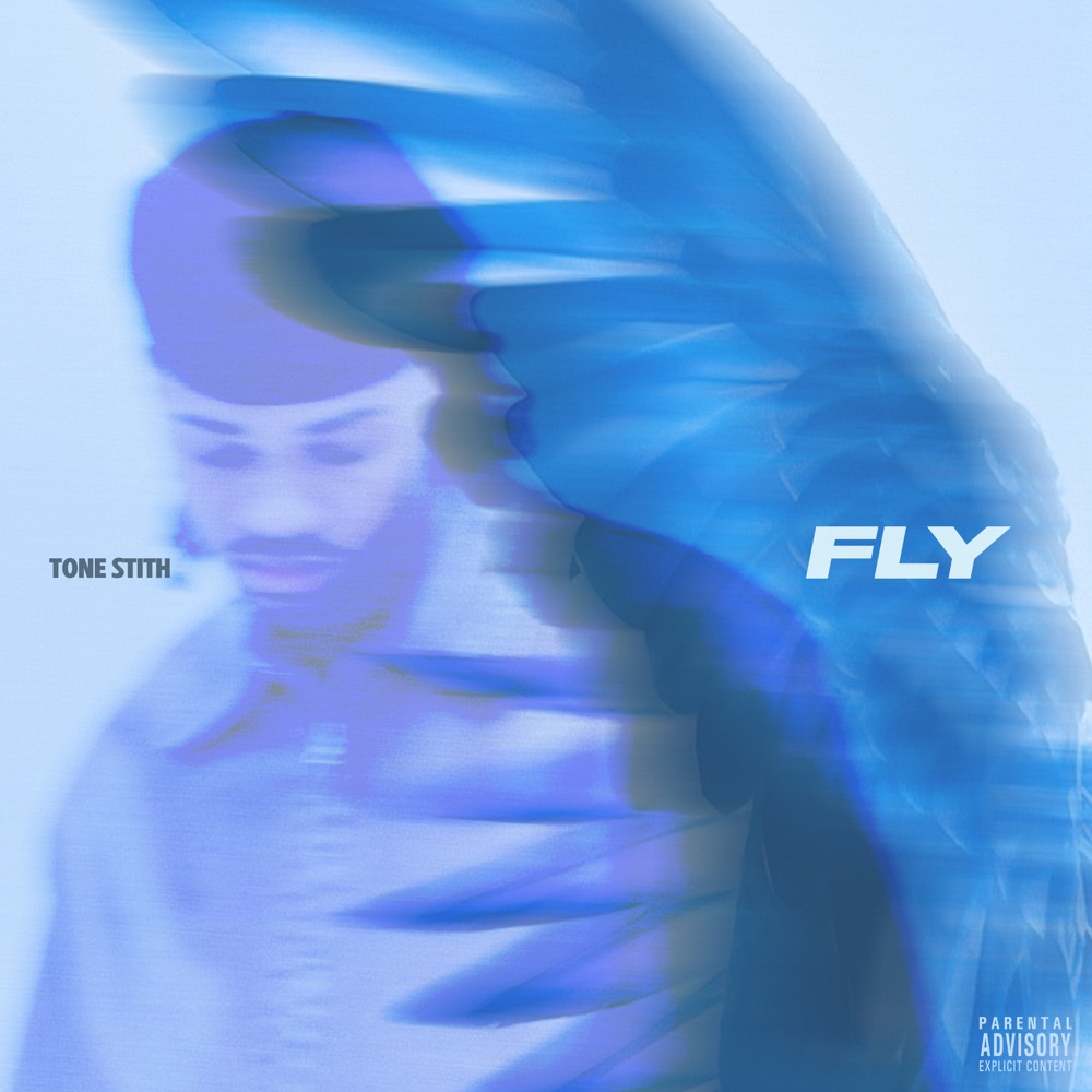 Fly